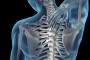 Chiropractic Care Treatment Results